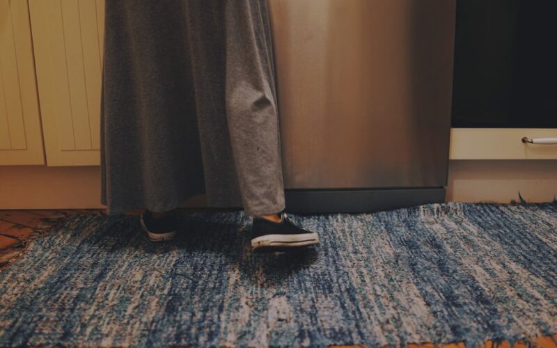 Persian Rug Moth Damage: Professional Treatment Methods