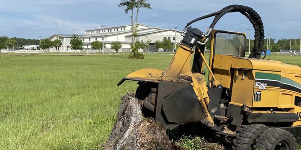 Veteran Oak Assessment: BS5837 Survey Requirements
