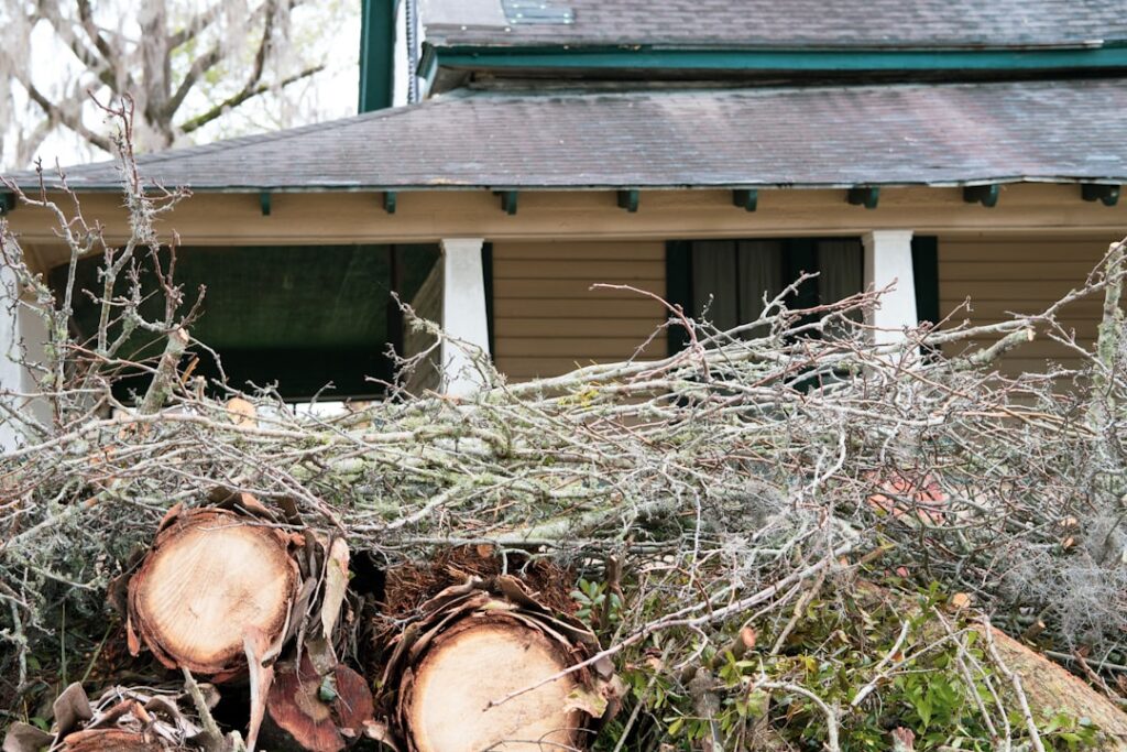 Ash Dieback Felling: Forestry Commission License Process