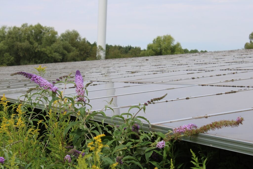 Battery Storage Installation: DNO G99 Application Process