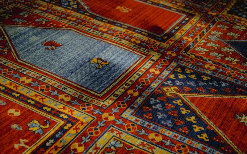 Moth Damage Carpet Treatment: Insurance Claim Documentation