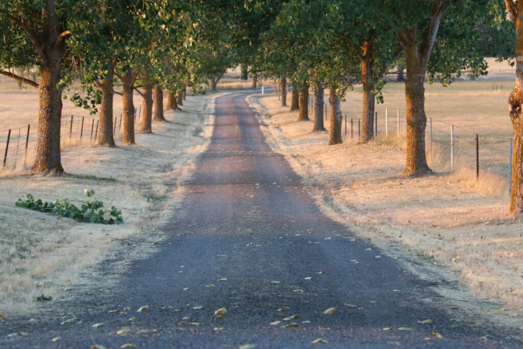 Resin Bound vs Tarmac: SuDS Compliance for UK Driveways