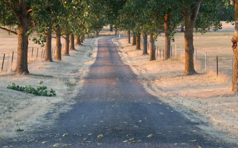 Resin Bound vs Tarmac: SuDS Compliance for UK Driveways