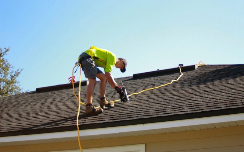Bat Survey Requirements for Loft Conversion Roofing Work