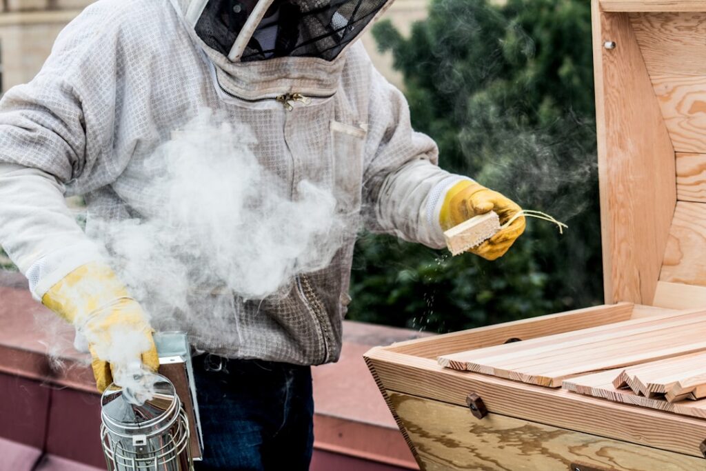 Cluster Fly Infestations: Rural Property Solutions