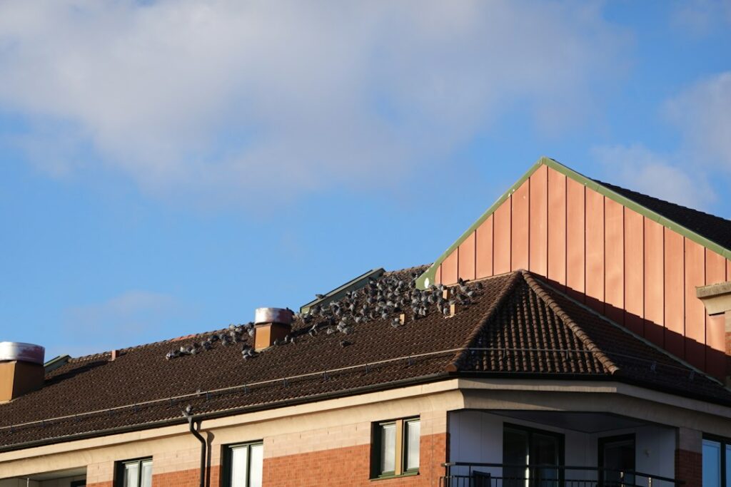 Flat Roof Insulation: U-Value Requirements Post-2025