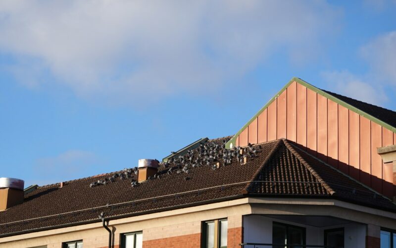 Flat Roof Insulation: U-Value Requirements Post-2025