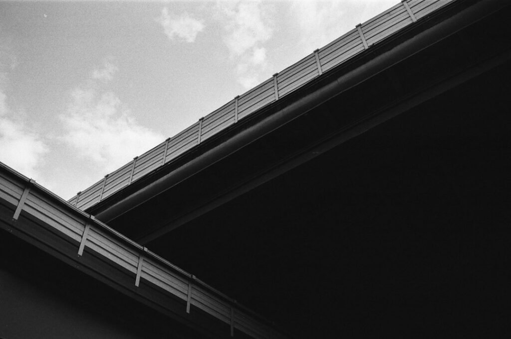 Gutter Hedgehog Guards: Preventing Blockages Year-Round