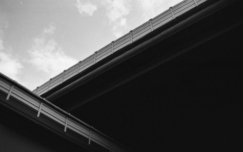 Gutter Hedgehog Guards: Preventing Blockages Year-Round