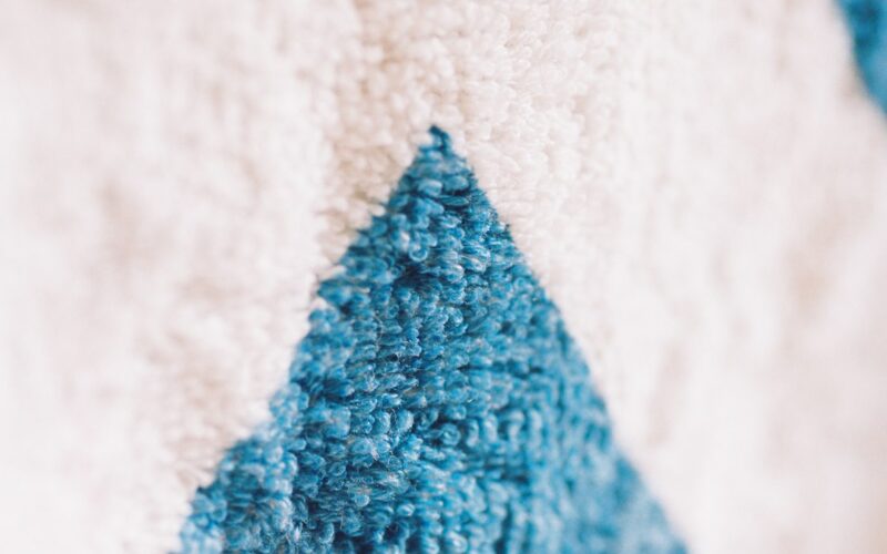 Wool Carpet Moth Treatment: Natural vs Chemical Methods
