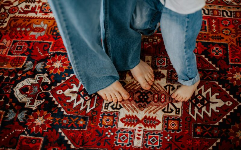 Wool Carpet Moth Treatment: Safe Methods for Heritage Homes