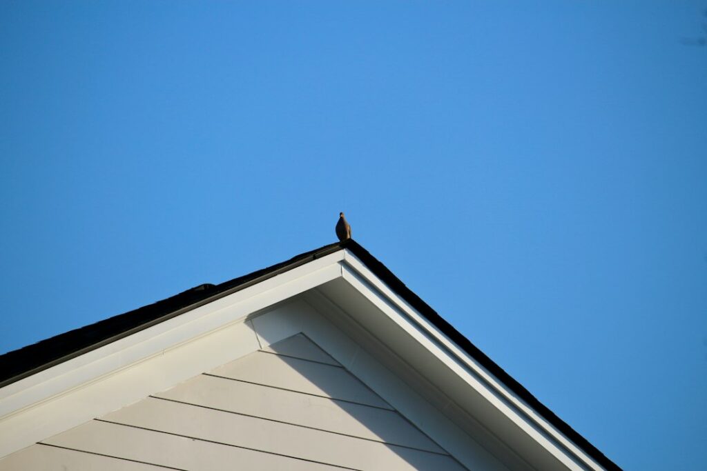Gutter Hedgehog Guards: Preventing Pine Needle Blockages