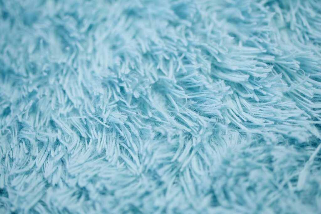 Hot Water Extraction vs Dry Cleaning: Victorian Carpet Care