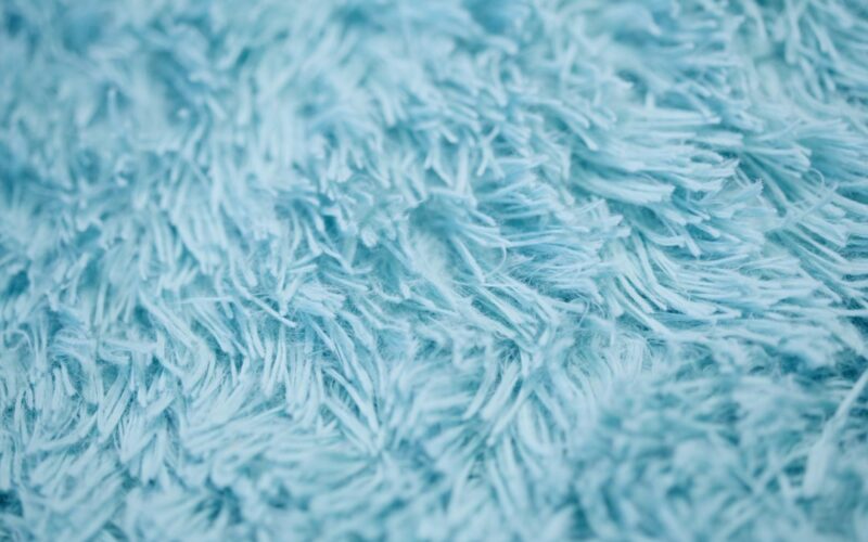 Hot Water Extraction vs Dry Cleaning: Victorian Carpet Care