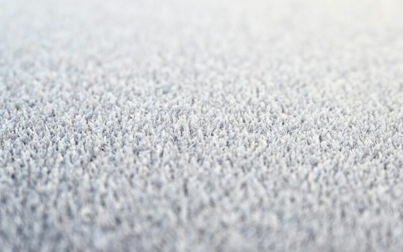 Hot Water Extraction vs Dry Cleaning: Wool Carpet Care