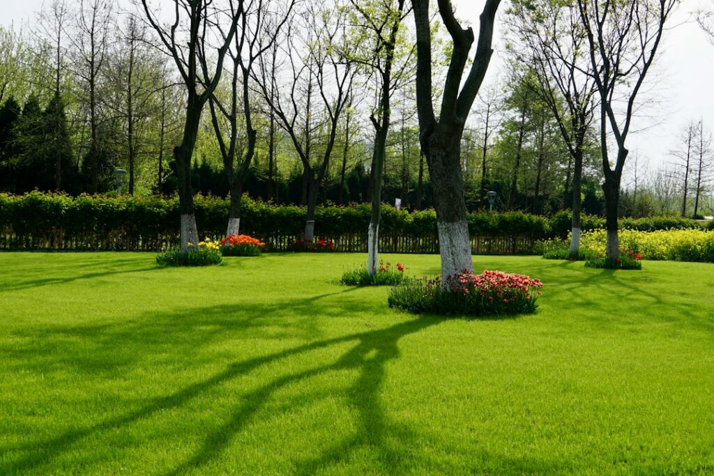 Wildflower Turf Installation: Biodiversity Net Gain Rules