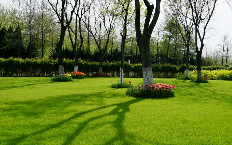 Wildflower Turf Installation: Biodiversity Net Gain Rules